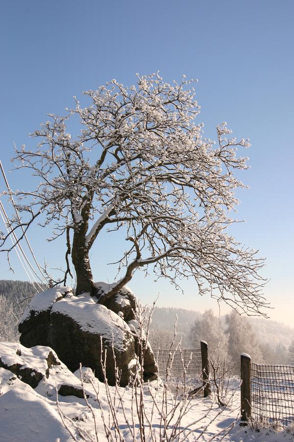 Jeleni Chata Skladanka Lučany nad Nisou Esterno foto